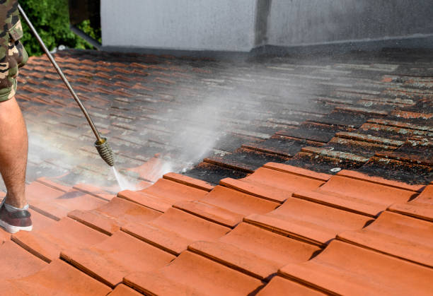 Best Roof Pressure Washing  in Kuna, ID